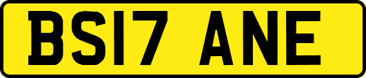 BS17ANE