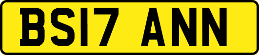 BS17ANN