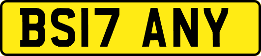 BS17ANY