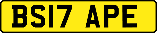 BS17APE