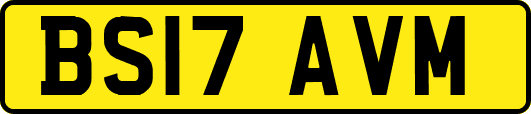BS17AVM