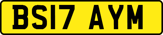 BS17AYM
