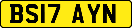 BS17AYN