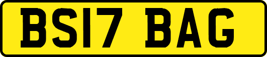 BS17BAG