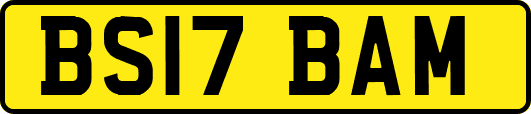 BS17BAM