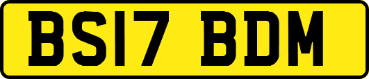 BS17BDM