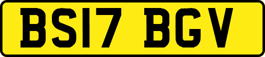 BS17BGV
