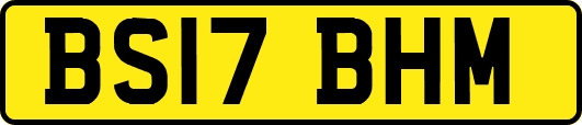 BS17BHM