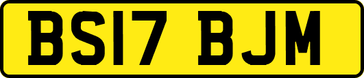 BS17BJM