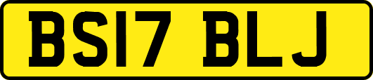 BS17BLJ