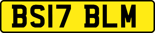 BS17BLM