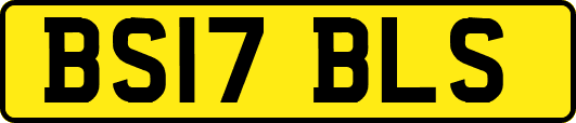 BS17BLS
