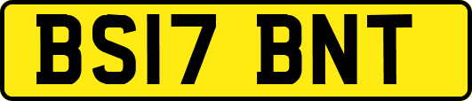 BS17BNT