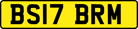 BS17BRM