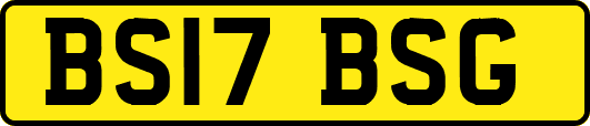 BS17BSG