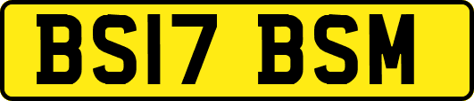 BS17BSM