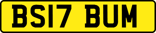 BS17BUM