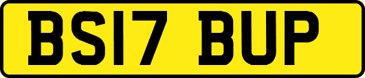 BS17BUP