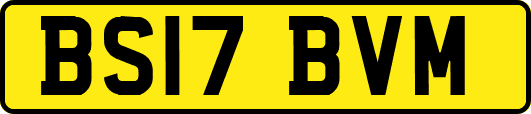 BS17BVM