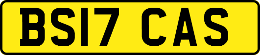 BS17CAS