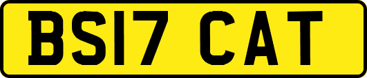 BS17CAT