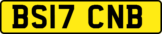 BS17CNB