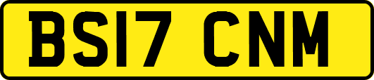 BS17CNM