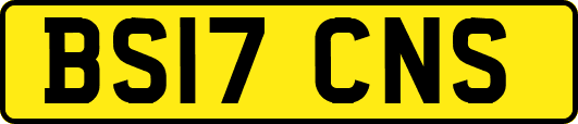 BS17CNS