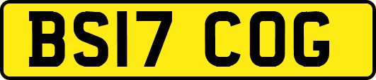 BS17COG