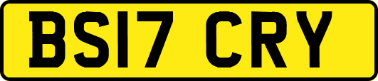 BS17CRY