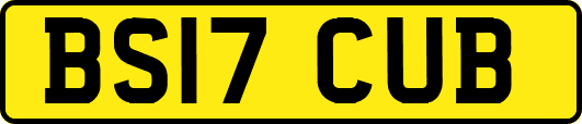 BS17CUB
