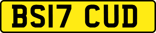 BS17CUD