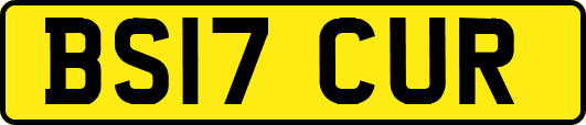 BS17CUR