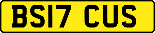 BS17CUS