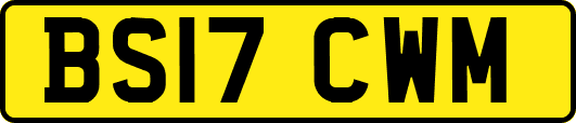 BS17CWM