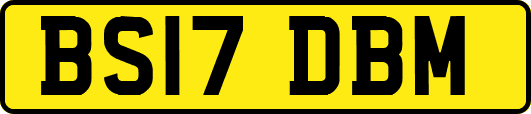 BS17DBM