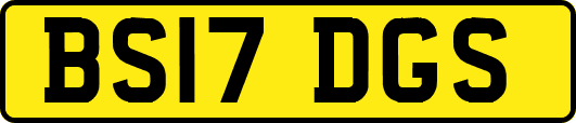 BS17DGS