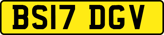 BS17DGV