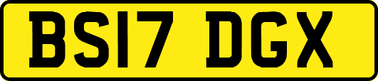 BS17DGX