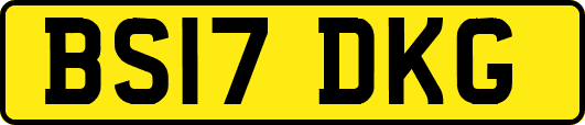 BS17DKG