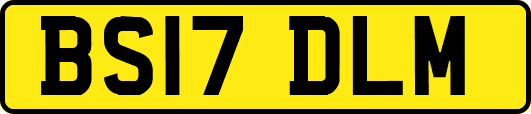 BS17DLM