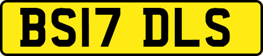 BS17DLS