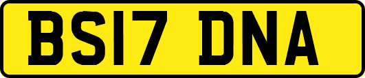 BS17DNA