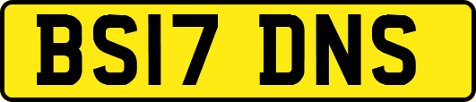 BS17DNS