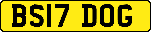 BS17DOG