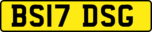 BS17DSG
