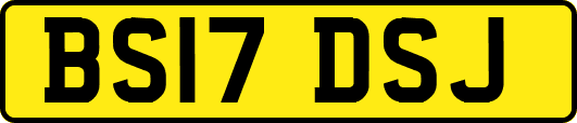 BS17DSJ