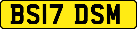 BS17DSM
