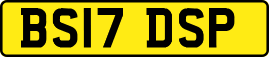 BS17DSP