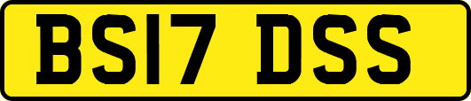 BS17DSS